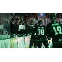 Texas Stars on game night