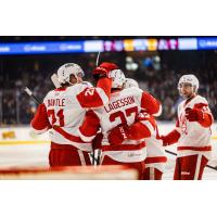 Grand Rapids Griffins celebrate win