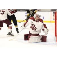Peterborough Petes goaltender Easton Rye vs. the Kingston Frontenacs