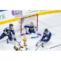 Wheeling Nailers forward Matty De St. Phalle takes a shot against the Worcester Railers