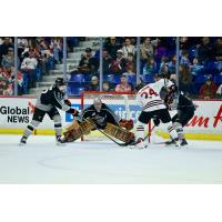 Vancouver Giants goaltender Kelton Pyne vs. the Red Deer Rebels