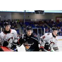 Vancouver Giants defenceman Jaxson Pawlenchuk vs. the Red Deer Rebels
