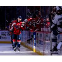 South Carolina Stingrays exchange congratulations along the bench