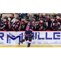 Adirondack Thunder forward Tag Bertuzzi along the Thunder bench
