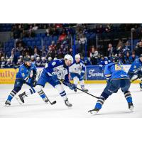Syracuse Crunch left wing Wojciech Stachowiak vs. the Springfield Thunderbirds