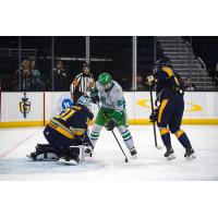 Florida Everblades forward Kyle Betts vs. the Atlanta Gladiators