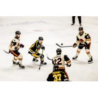 Wheeling Nailers battle the Indy Fuel