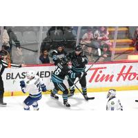 San Jose Barracuda's Anthony Vincent and Yegor Afanasyev on game night