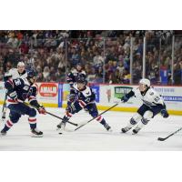 South Carolina Stingrays forward Lynden Breen (center) handles the puck