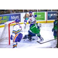Orlando Solar Bears react after a score against the Florida Everblades