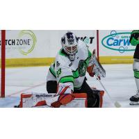 Savannah Ghost Pirates goaltender Vinnie Purpura