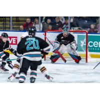 Kelowna Rockets goaltender Harrison Boettiger