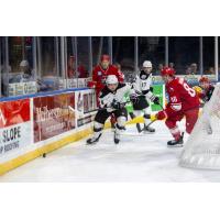 Allen Americans take on the Wichita Thunder