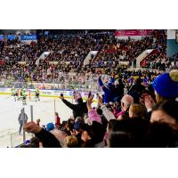 Fans cheer on the Kitchener Rangers