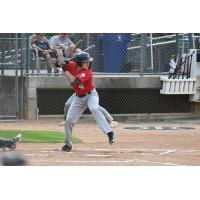 Trey Fikes at bat for the Thunder Bay Border Cats