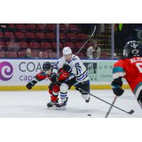 Wenatchee Wild forward Rui Han