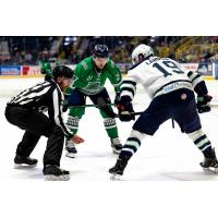 Florida Everblades forward Reid Duke in the faceoff circle