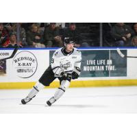 Forward Brendan Hoffmann with the Idaho Steelheads