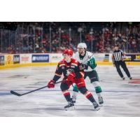 Texas Stars forward Harrison Scott (right) vs. the Grand Rapids Griffins