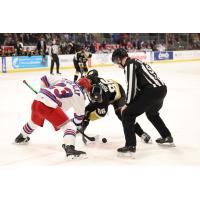Kitchener Rangers centre Sam O'Reilly (left) faces off with the Kingston Frontenacs