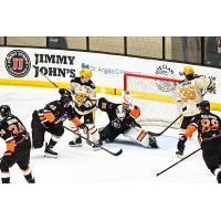 Wheeling Nailers denied by Reading Royals goaltender Keith Petruzzelli