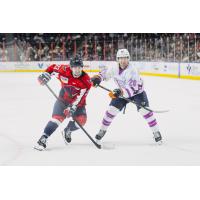 South Carolina Stingrays forward Lynden Breen (left) vs. the Greenville Swamp Rabbits