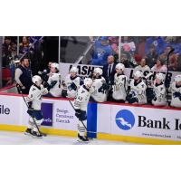 Springfield Thunderbirds' Michael Buchinger and Calle Rosén congratulated by team