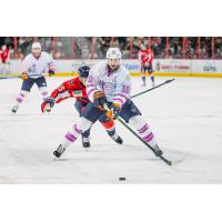 Greenville Swamp Rabbits' Josh Atkinson and South Carolina Stingrays' Stan Cooley on game night