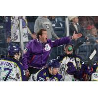 Youngstown Phantoms' head coach Ryan Ward on game night