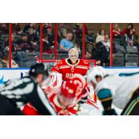 Rapid City Rush goaltender Connor Murphy observes the action