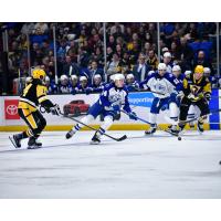 Syracuse Crunch centers Tristan Allard (14) and Lucas Mercuri vs. the Wilkes-Barre/Scranton Penguins