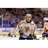 Greenville Swamp Rabbits forward Ryan O'Hara