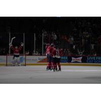 South Carolina Stingrays celebrate a goal