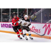 Belleville Senators right wing Mark Duarte (left) vs. the Hershey Bears