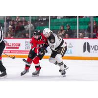 Belleville Senators centre Garrett Pilon (left) vs. the Hershey Bears