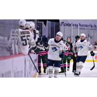 Springfield Thunderbirds forward Thomas Bordeleau along the bench