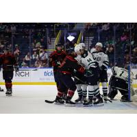 Florida Everblades and Maine Mariners on the ice