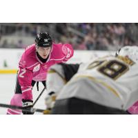 San Jose Barracuda's Igor Chernyshov on game night