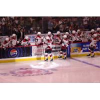 South Carolina Stingrays exchange congratulations along the bench