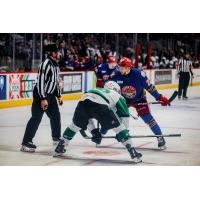 Texas Stars face off with the Grand Rapids Griffins