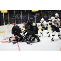 Youngstown Phantoms battle the Muskegon Lumberjacks