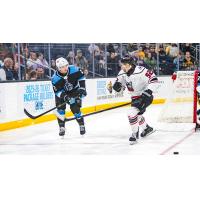Adirondack Thunder forward Matt Salhany (right) vs. the Atlanta Gladiators