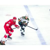 Allen Americans left wing Hank Crone (left)