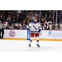 Kitchener Rangers defenseman Andrew MacNiel