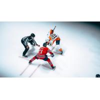 Flint Firebirds center Jimmy Lombardi faces off with the Oshawa Generals