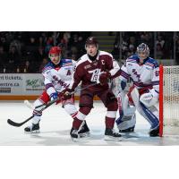 Peterborough Petes defenceman Carson Cameron vs. the Kitchener Rangers