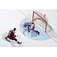 Peterborough Petes left wing Kieron Walton vs. the Kitchener Rangers