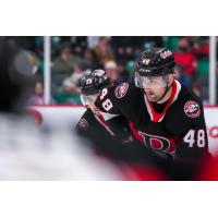 Belleville Senators defenceman Dennis Gilbert