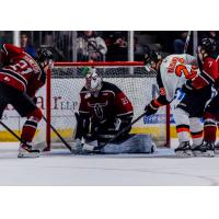 Red Deer Rebels goaltender Matthew Kondro