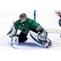 Florida Everblades goaltender Cam Johnson